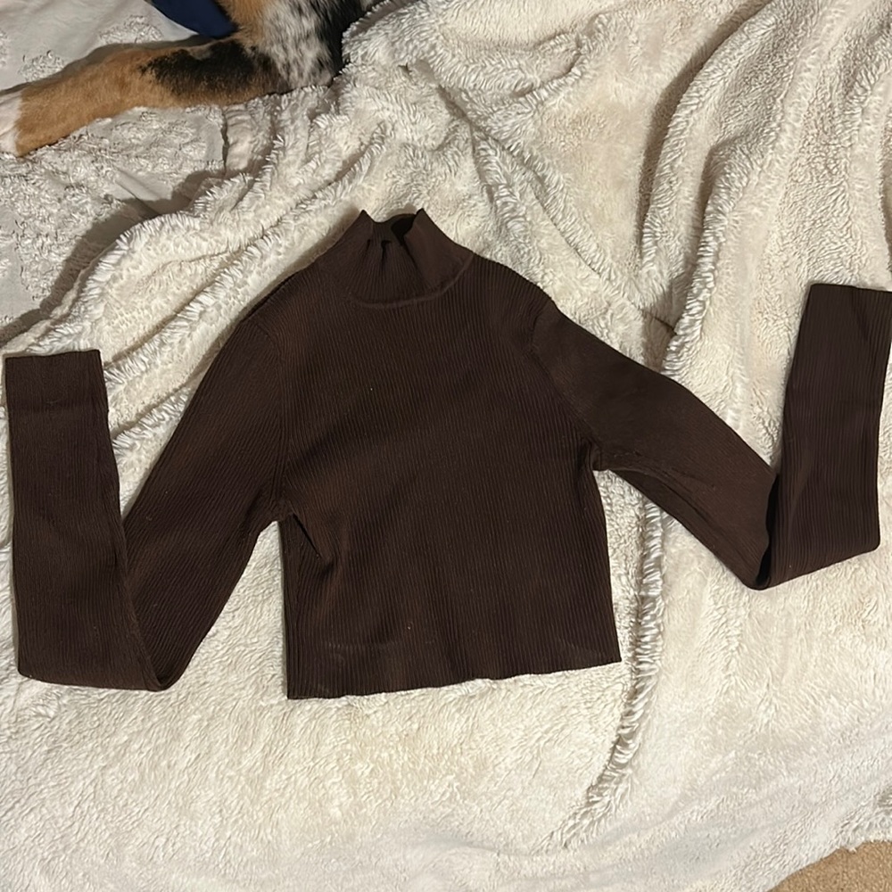 Brown turtleneck sweater